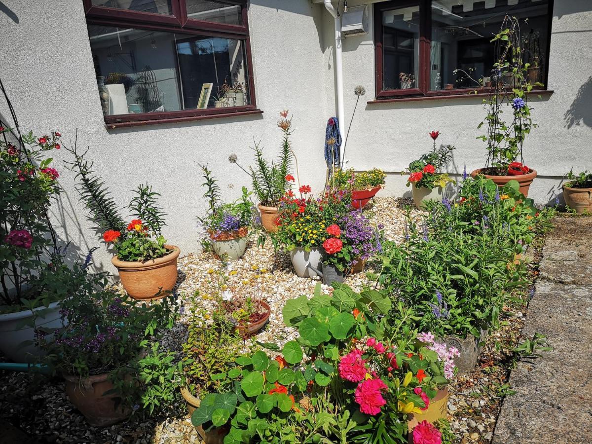 Y Cuddfan Gower Bed & Breakfast สวอนซี ภายนอก รูปภาพ