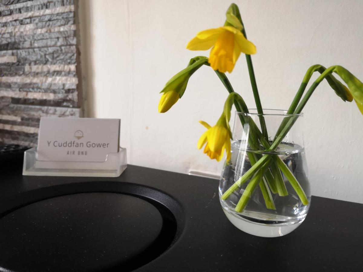Y Cuddfan Gower Bed & Breakfast สวอนซี ภายนอก รูปภาพ